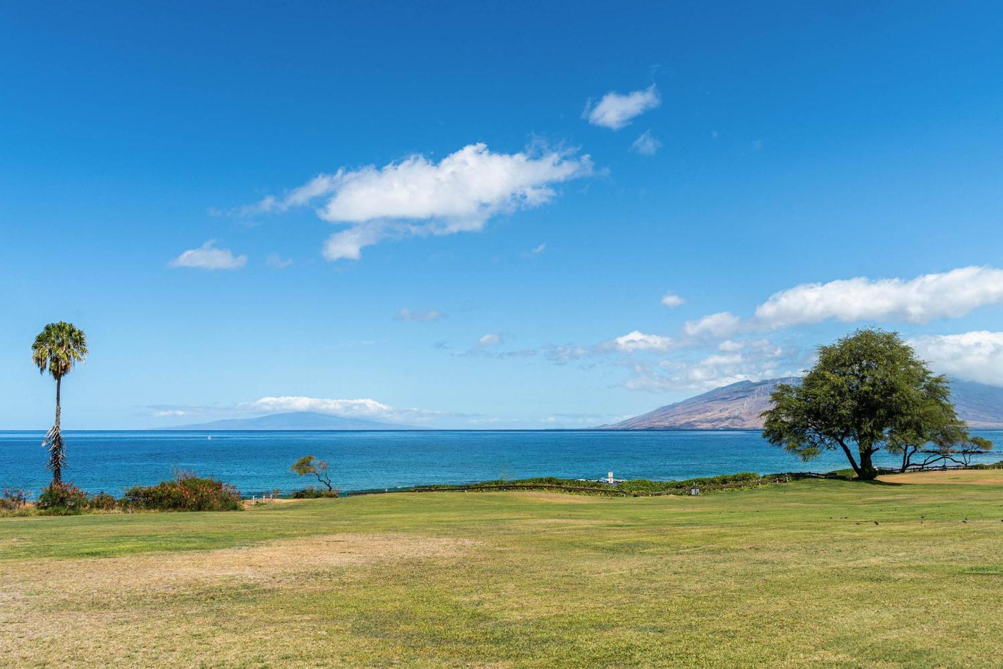 Апартаменты Kihei Akahi C-513 Уэйлея Экстерьер фото